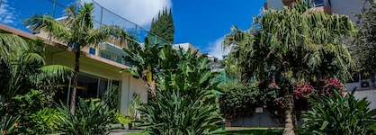 Dorisol Buganvilia Studio Hotel