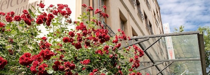 Hotel Niky