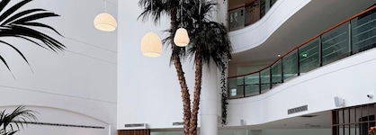 Louis Imperial Beach