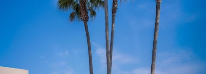 Dreams Corfu Resort & Spa