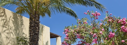 Kipriotis Maris Suites - All Inclusive