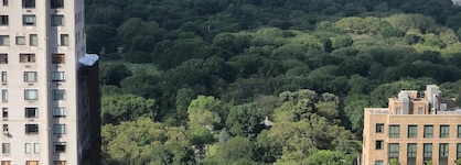 Thompson Central Park New York