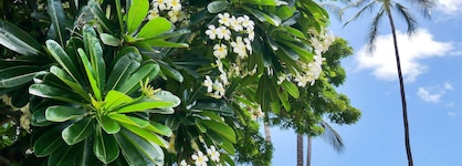 Waimea Plantation Cottages, a Coast Resort