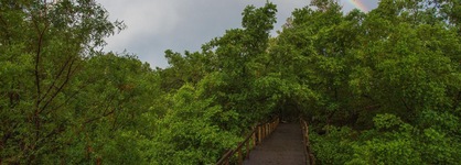 Madikwe River Lodge