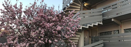 Campanile Nature - Cergy Pontoise