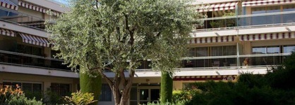 The Originals Boutique, Hôtel Les Strélitzias, Antibes Ouest