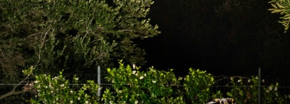 Villa Athena Resort