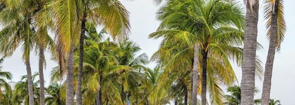 Lago Mar Resort & Club