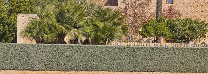 Son Penya Petit Hotel & Spa - Adults Only