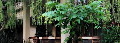 Parigata Resort & Spa
