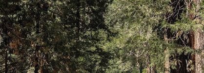 Tenaya Lodge At Yosemite