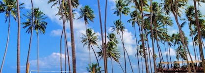 Grand Oca Maragogi Resort