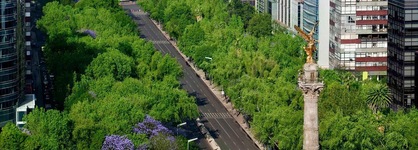 Hotel Novotel Mexico City Santa Fe