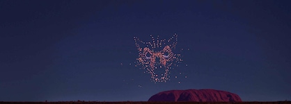 The Lost Camel