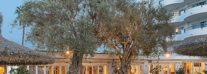Alcudia Beach Apartments