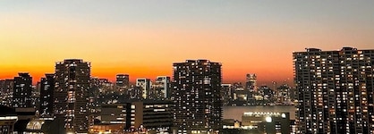 Tokyo Bay Ariake Washington Hotel