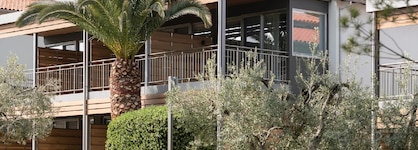 Blue Dolphin Hotel
