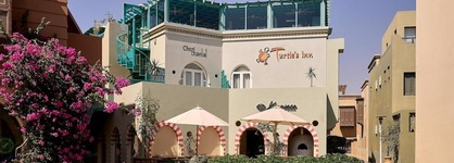 Turtle's Inn