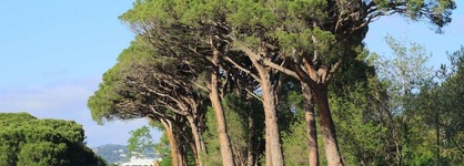Pullman Cannes Mandelieu