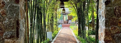 Saree Samui Natures Finest Resort