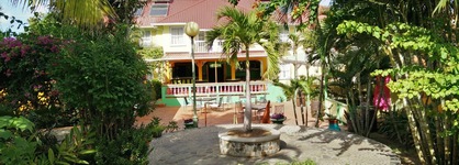 Coco Palm