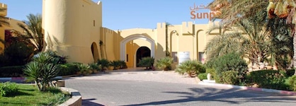 Sun Palm