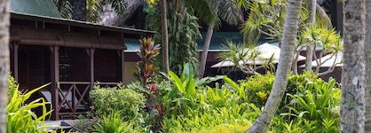 Paradise Sun