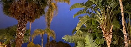 Tigaiga Suites