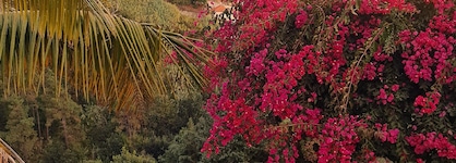 Villa Alto Boutique Hotel