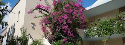 Selini Suites