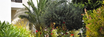 Akti Beach Village Resort