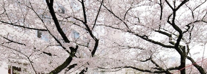 The Prince Sakura Tower Tokyo, Autograph Collection