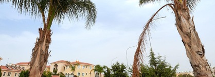 Kyklades Angie Resort