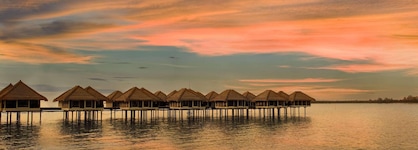 Golden Palm Tree Sepang