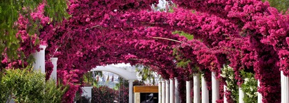 Kadikale Resort Spa