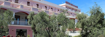 Hotel Delle More