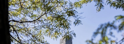 Millennium Knickerbocker Hotel Chicago
