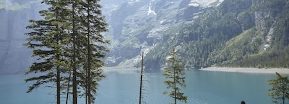 The Cambrian