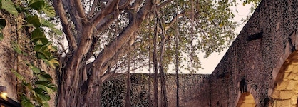 Hacienda Campeche