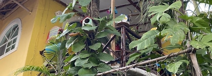 Maison Tulum