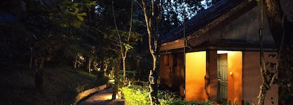 Abad Green Forest