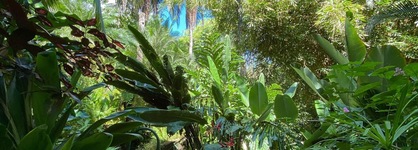 The Falls Resort At Manuel Antonio