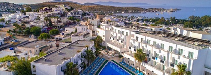 Shark Club Hotel