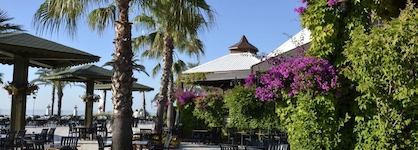 Emelda Sun Club, Ex Simena Sun Club