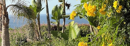 Vila Luz