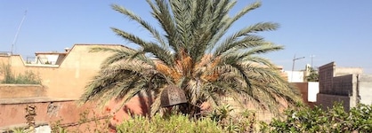 Dar Zemrane