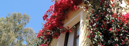 Borgo Degli Ulivi Residence