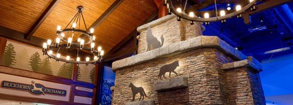 Great Wolf Lodge Illinois