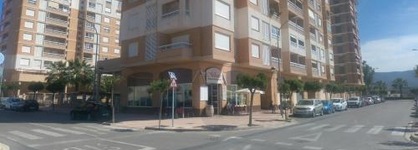 Apartamentos Milenio