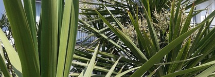 Kastel Wellness Hôtel Thalasso & Spa